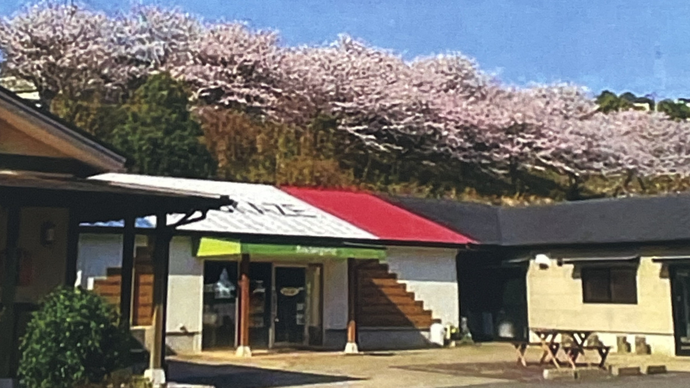 そよ風の里