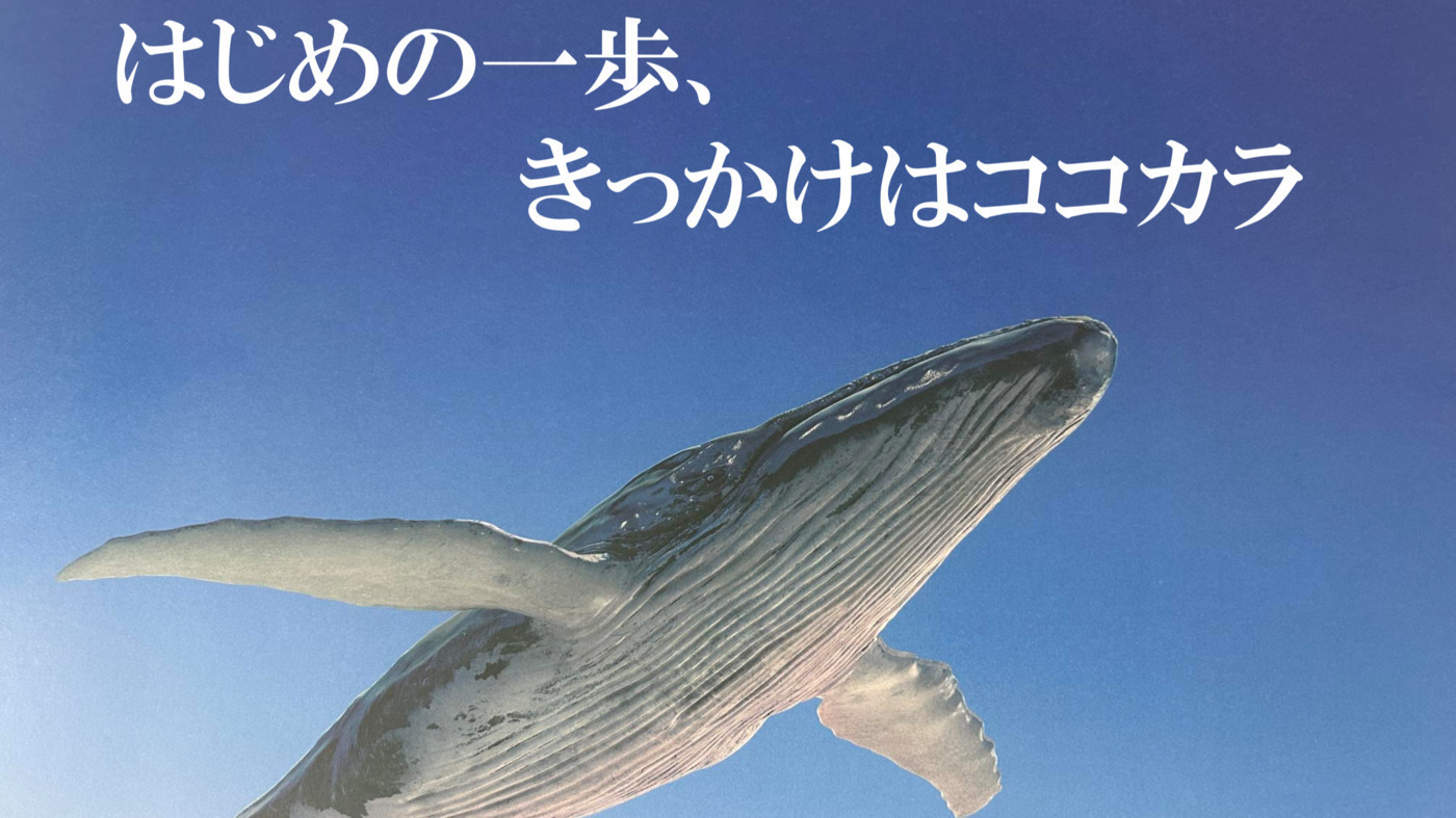 就労継続支援B型アルファスブライト新潟西