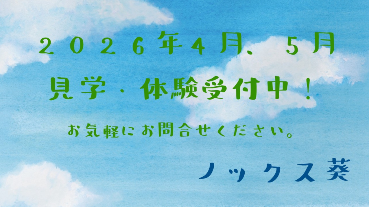ノックス葵
