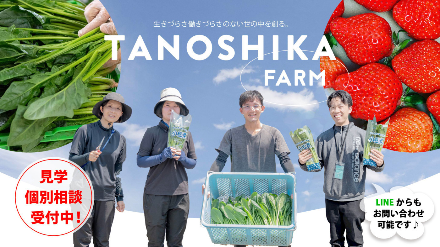 実働 TA03キャノピー4ST 68281KM 福岡市南区 TANOSHIKA FARM(福岡県