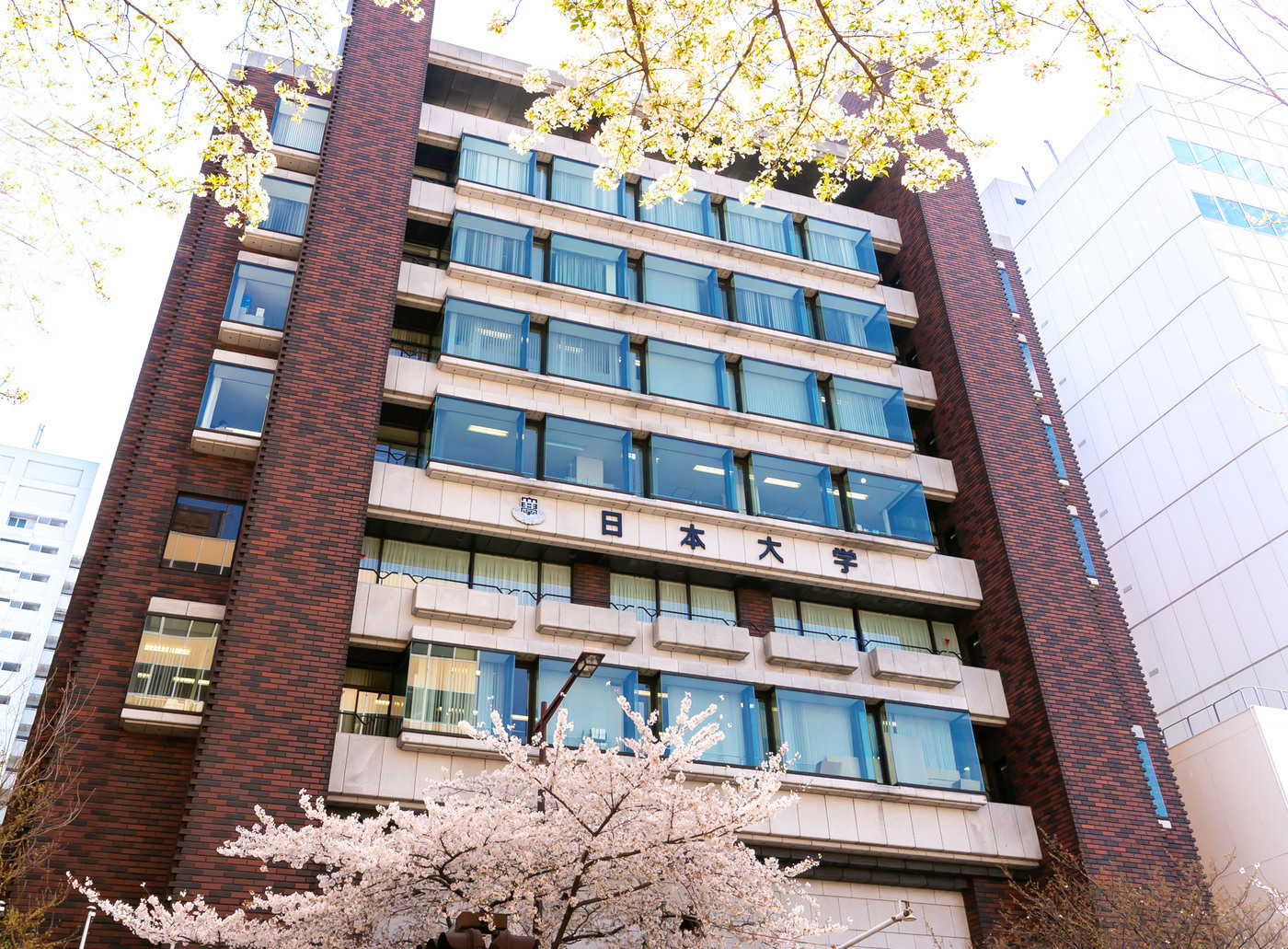 学校法人日本大学(東京都)の障害者求人に関する写真